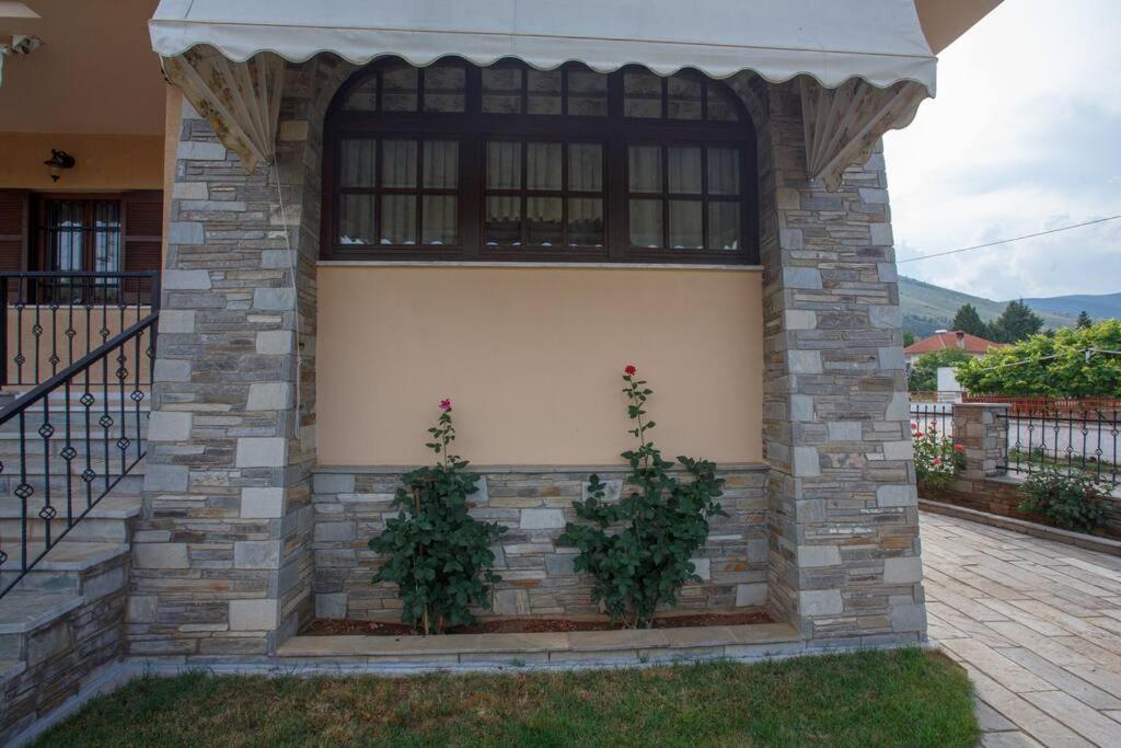 Βίλα Για Όλες Τις Εποχές Του Χρόνου Kozani Exterior photo